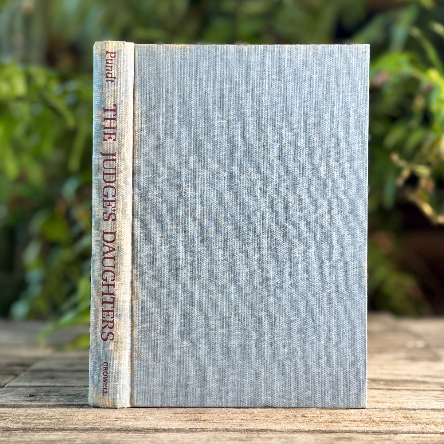 The Judge's Daughters, Helen Marie Pundt, 1966, First Printing