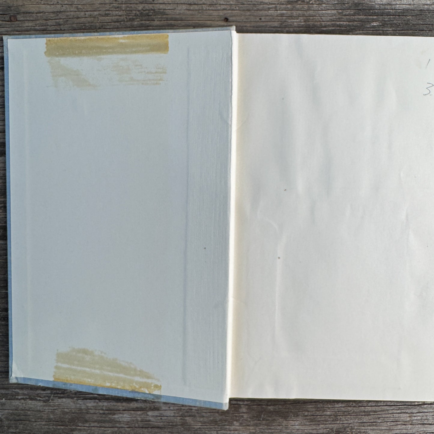 The Judge's Daughters, Helen Marie Pundt, 1966, First Printing