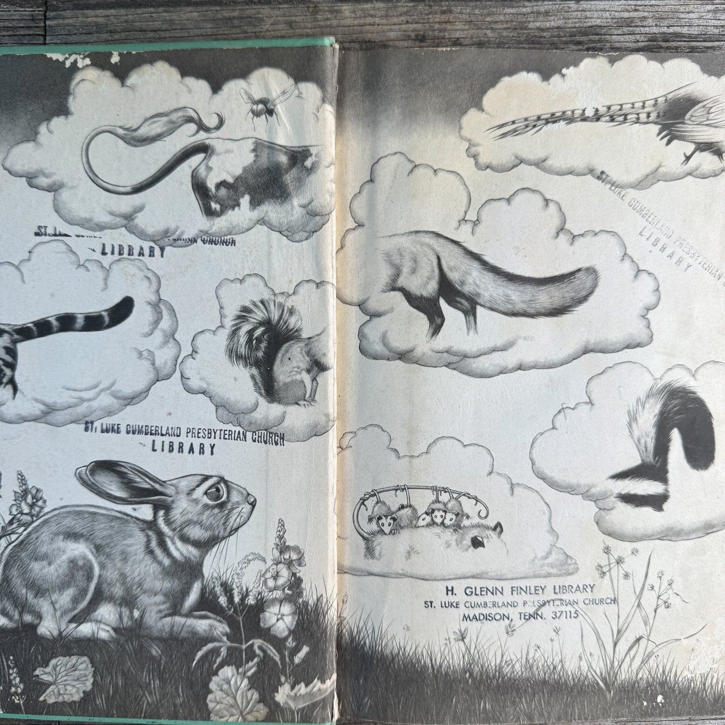 Robbut: A Tale of Tails, Robert Lawson, 1948
