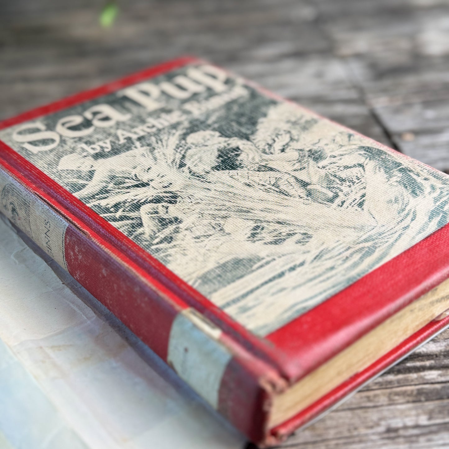 Sea Pup, Archie Binns, 1966, Twelfth Printing
