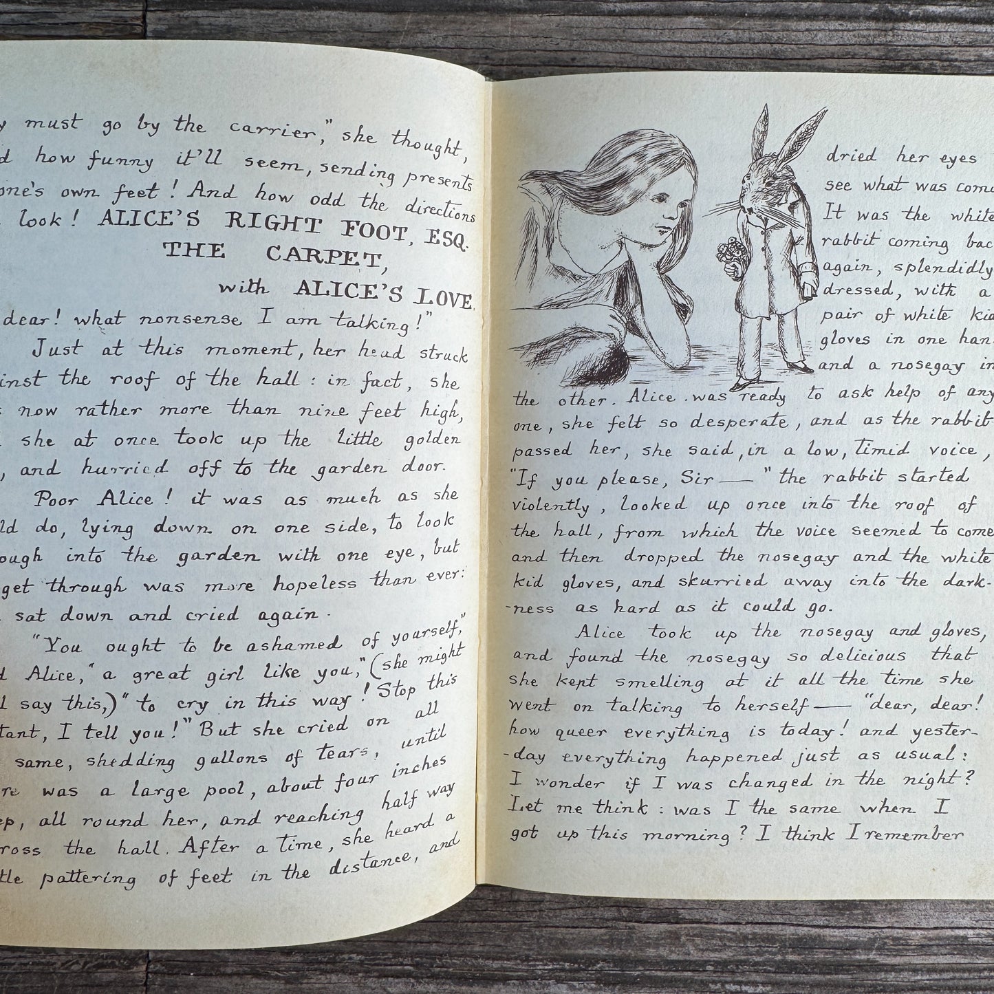 Alice's Adventures Under Ground, Lewis Carroll, 1985, First American Edition