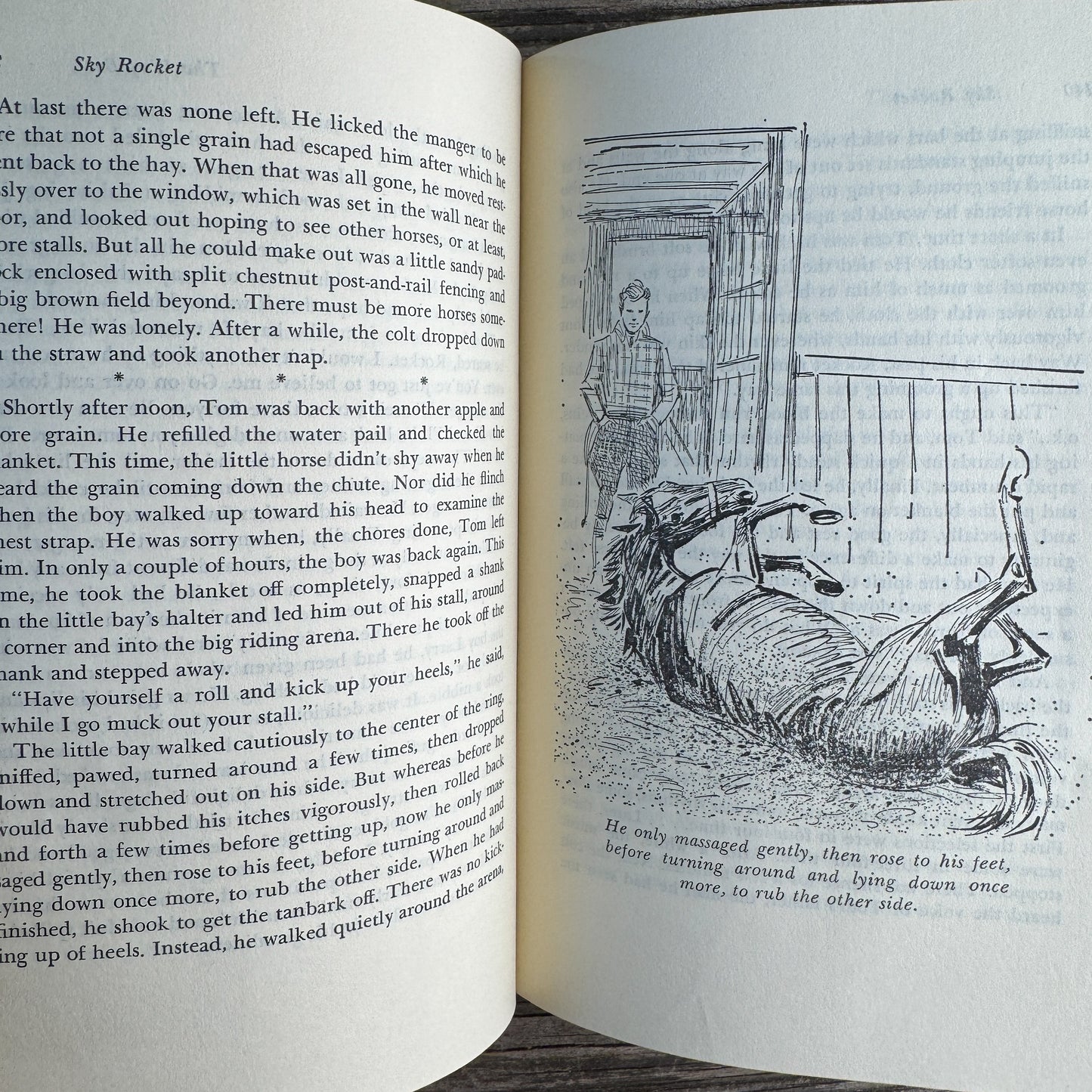 Sky Rocket, the Story of a Little Bay Horse, Margaret Cabell Self, 1970