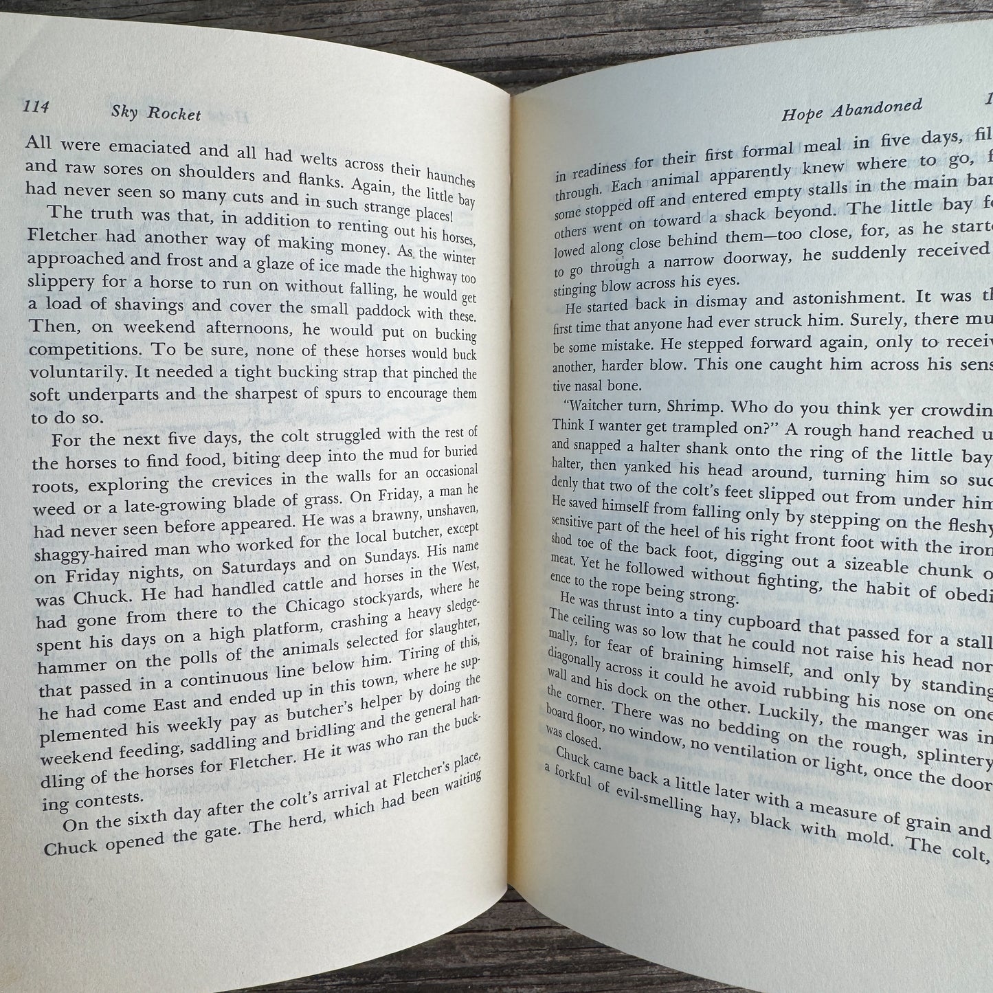 Sky Rocket, the Story of a Little Bay Horse, Margaret Cabell Self, 1970