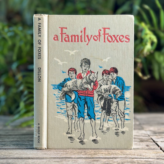 A Family of Foxes, Eilis Dillon, 1964