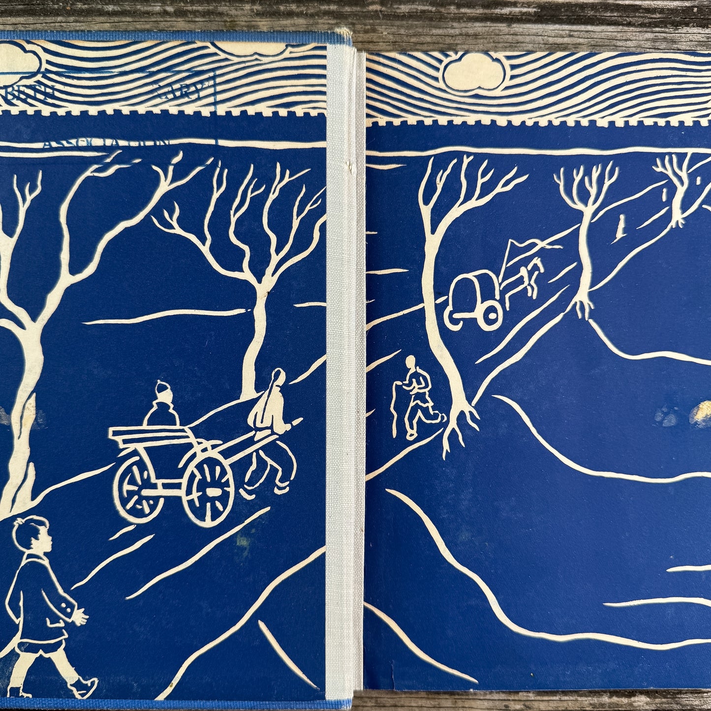 Jerry and the Pusa, Eleanor Frances Lattimore, 1932