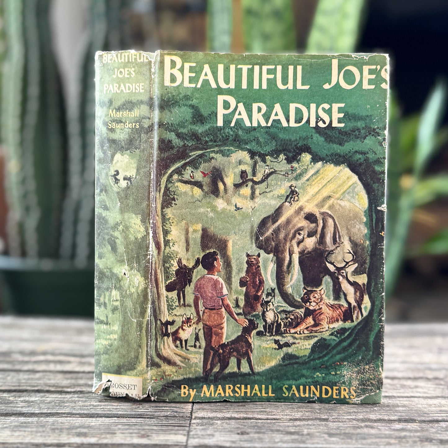 Beautiful Joe's Paradise, or The Island of Brotherly Love, Marshall Saunders, 1902