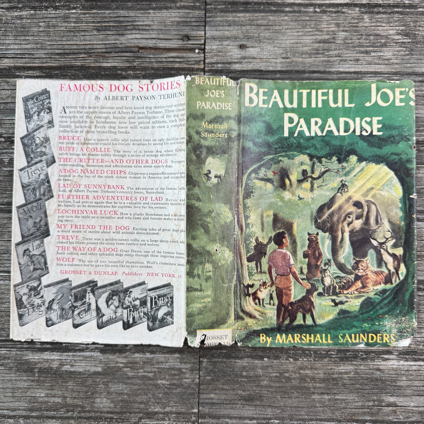 Beautiful Joe's Paradise, or The Island of Brotherly Love, Marshall Saunders, 1902