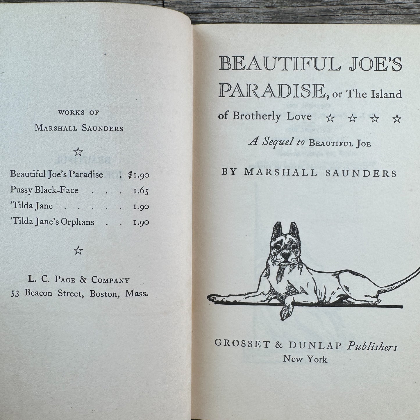 Beautiful Joe's Paradise, or The Island of Brotherly Love, Marshall Saunders, 1902