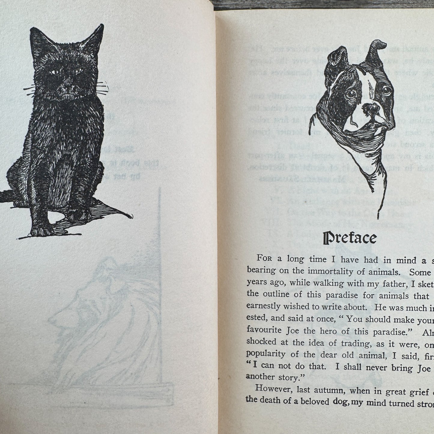 Beautiful Joe's Paradise, or The Island of Brotherly Love, Marshall Saunders, 1902