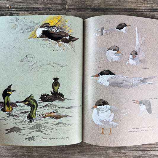 One Man's Island: A Naturalist's Year, Keith Brockie, 1984