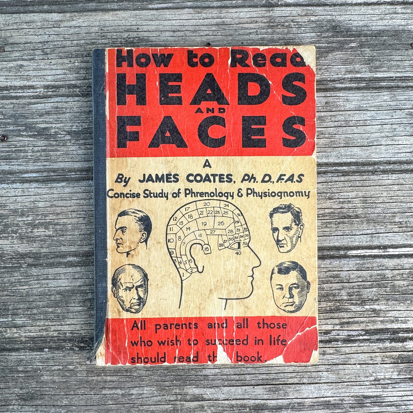 How to Read Heads and Faces, James Coates