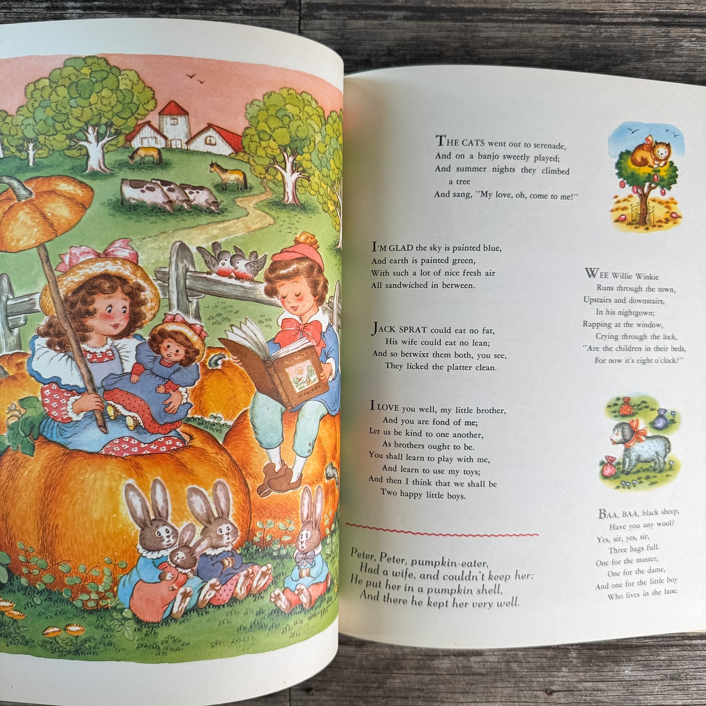 My Brimful Book, edited by Dana Bruce, 1969