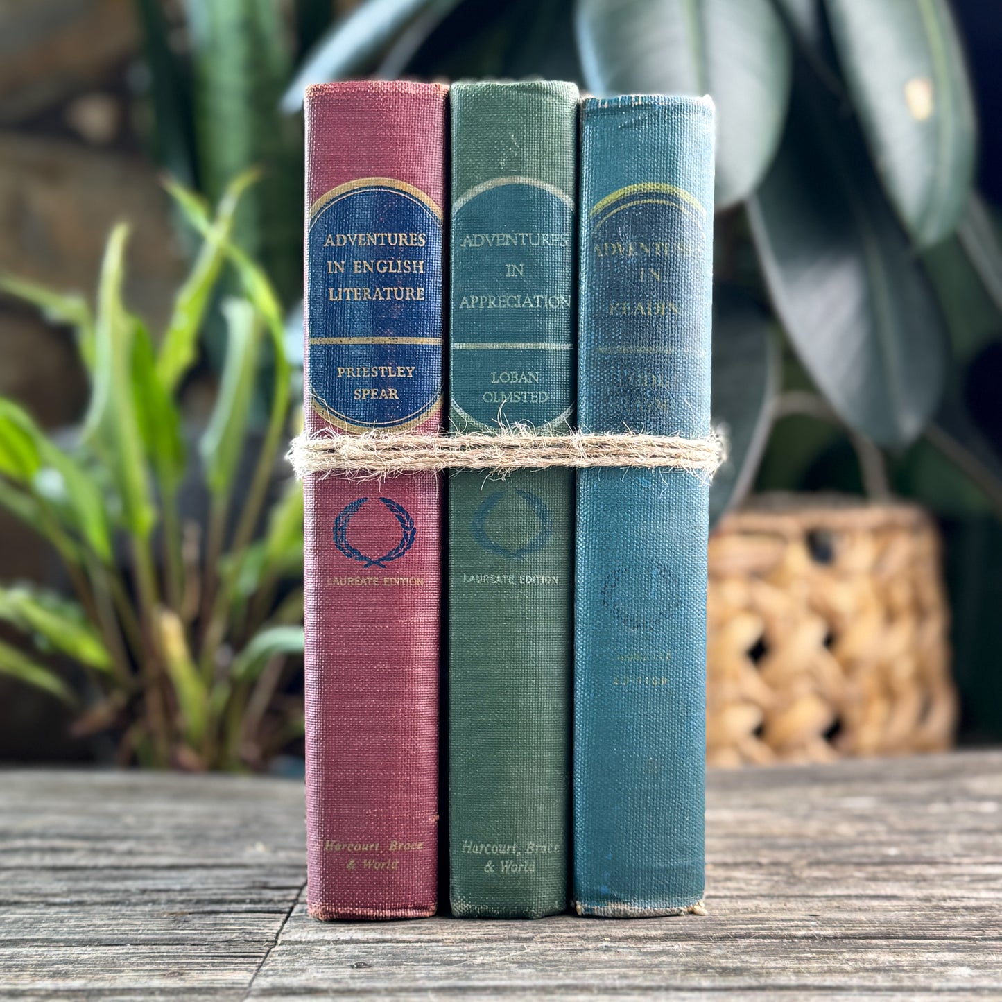 Mid Century English School Book Set, Laureate Editions, Adventures in English
