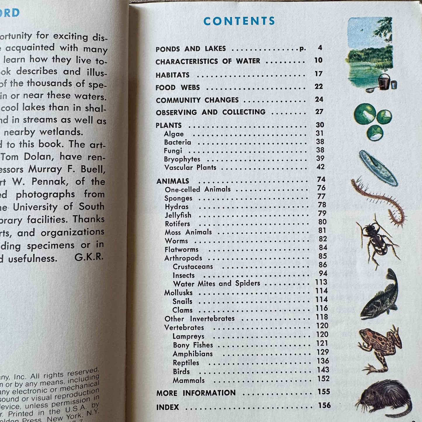 Pond Life, Golden Field Guide, 1967