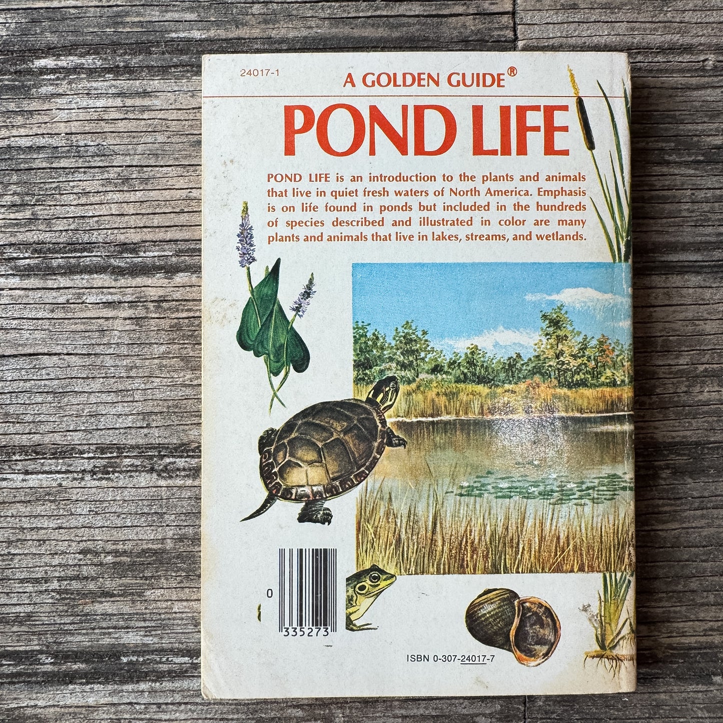 Pond Life, Golden Field Guide, 1967