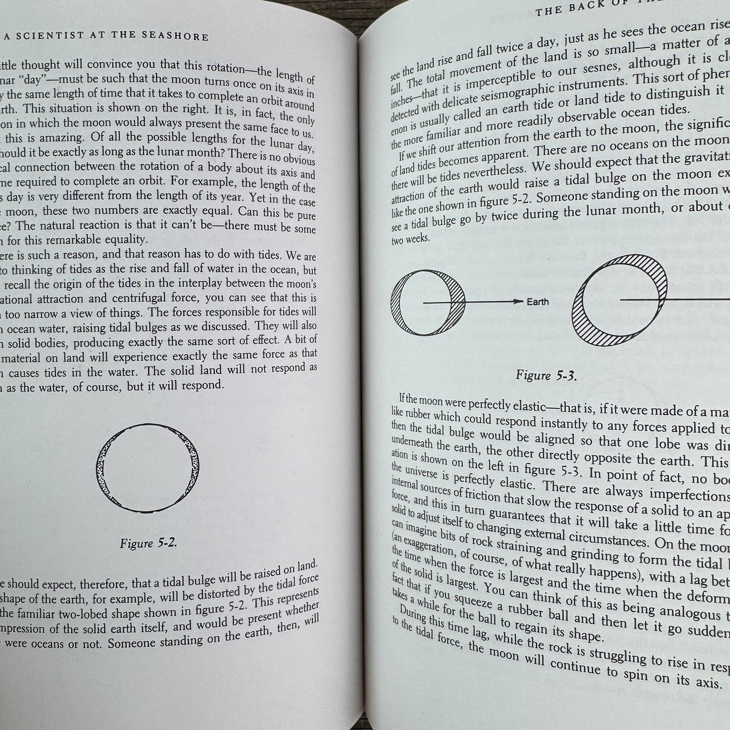 A Scientist at the Seashore, 1984, Physics of Waves, Nature Study