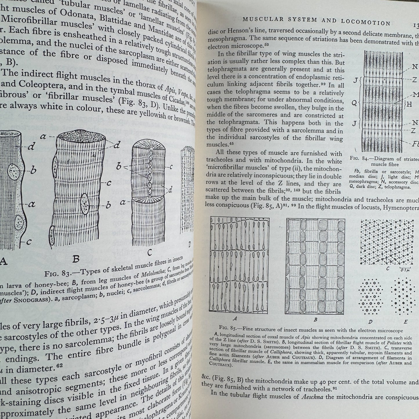 The Principles of Insect Physiology, V.B. Wigglesworth, 6th Ed, 1965