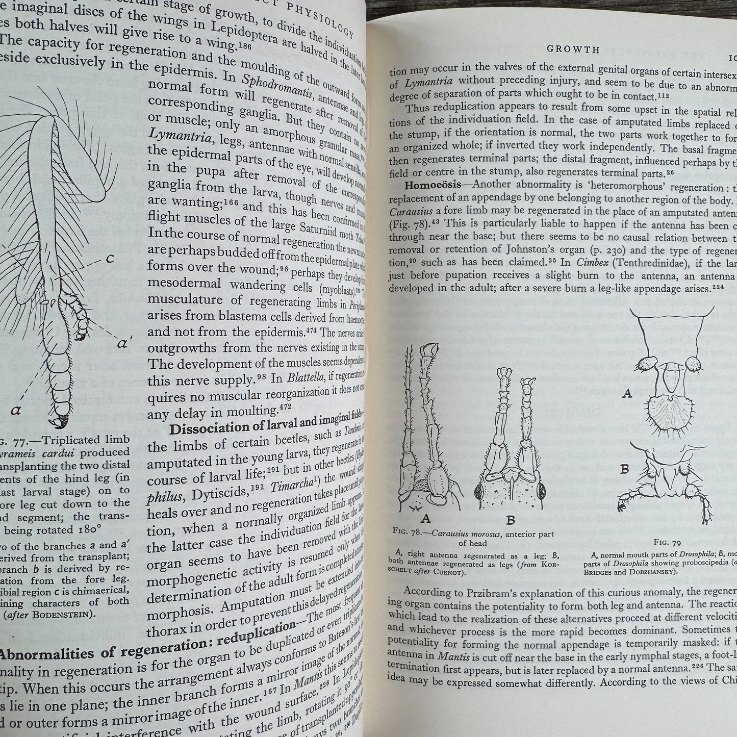 The Principles of Insect Physiology, V.B. Wigglesworth, 6th Ed, 1965