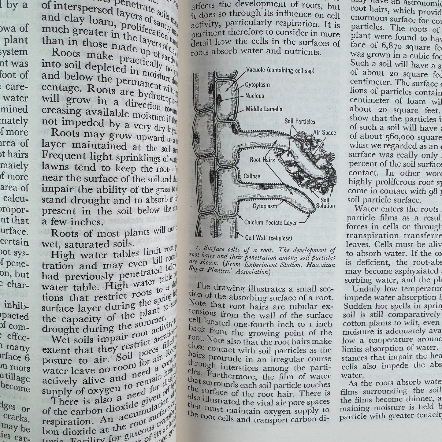 Soil: The Yearbook of Agriculture 1957, U.S. Department of Agriculture, 1957
