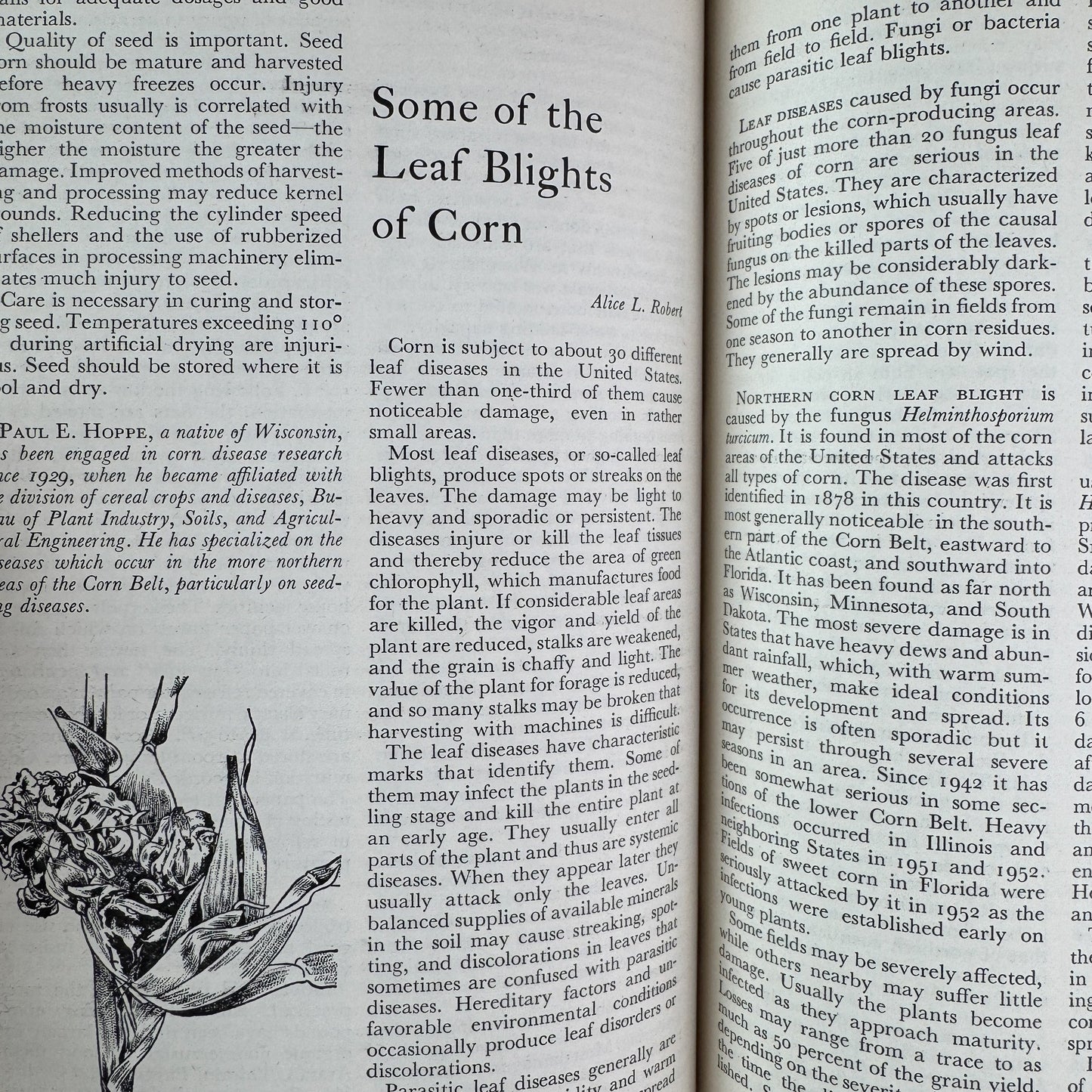 Plant Diseases: The Yearbook of Agriculture 1953, U.S. Department of Agriculture, 1953