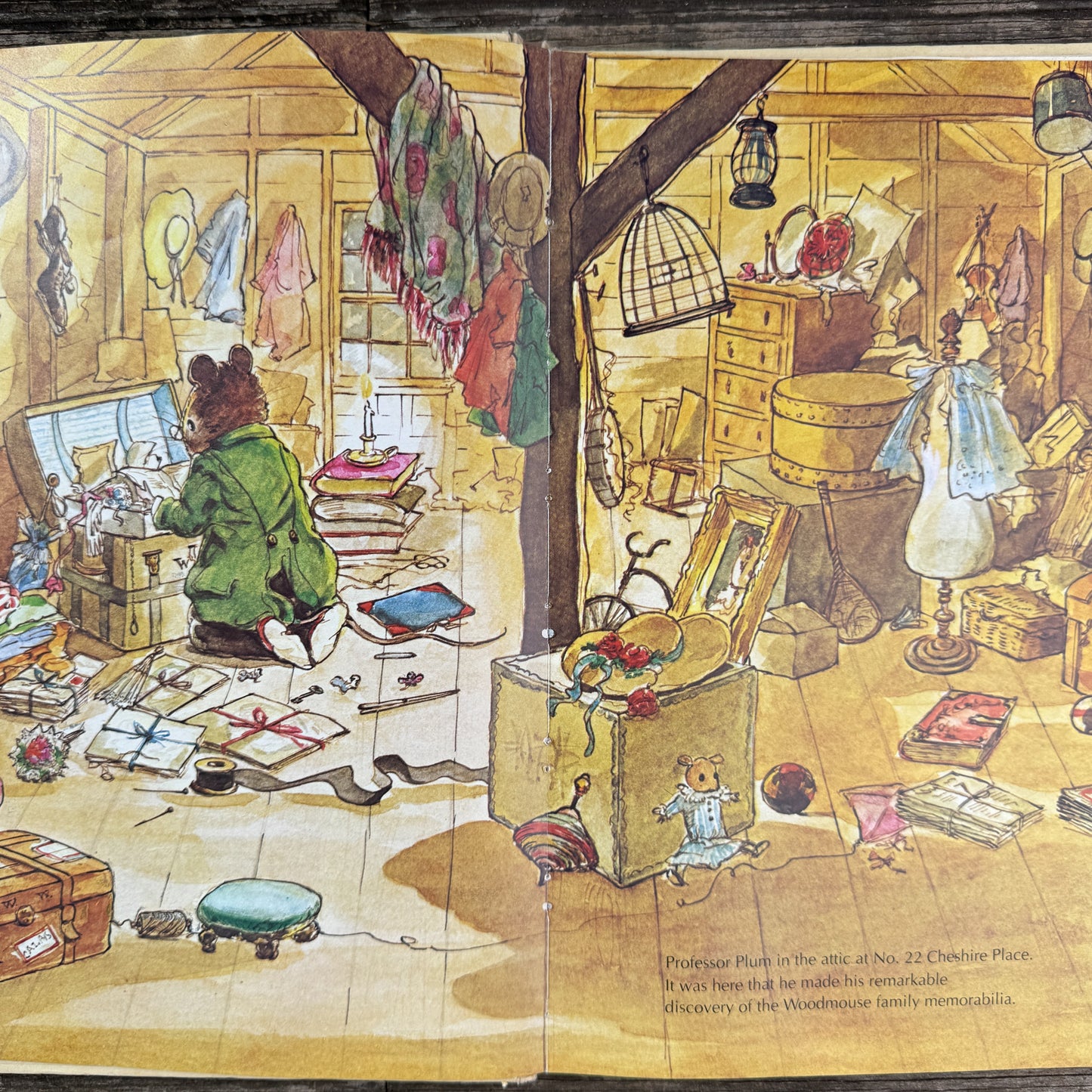 A Mouse Family Album, Pamela Sampson, 1980, First Printing