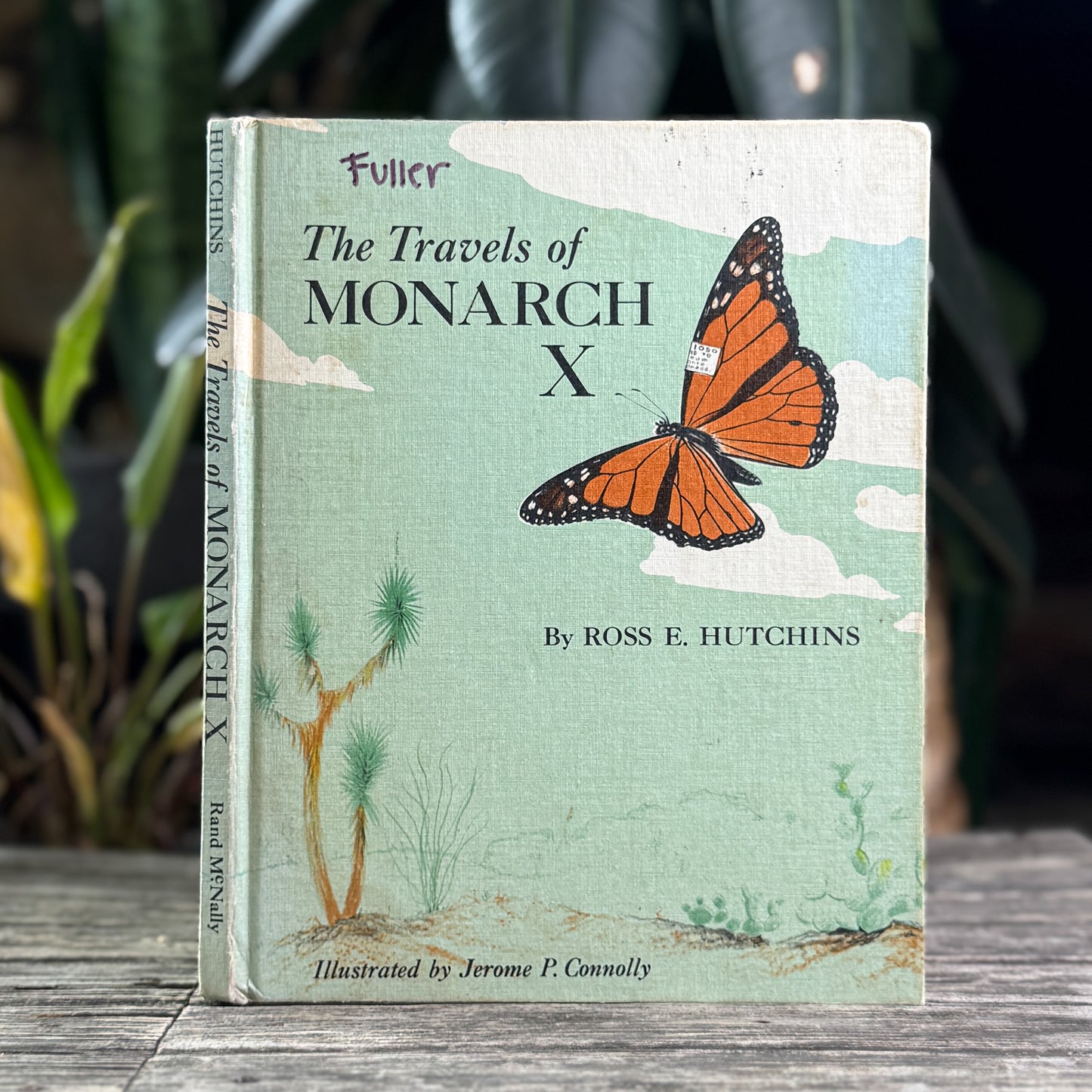 The Travels of Monarch X, 1966 Nature Study Hardcover Children's Book