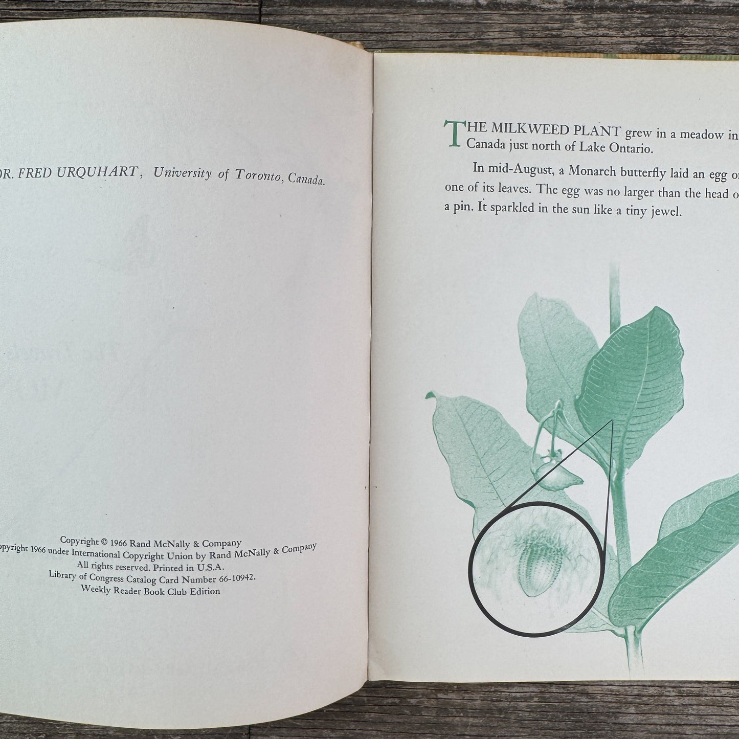 The Travels of Monarch X, 1966 Nature Study Hardcover Children's Book