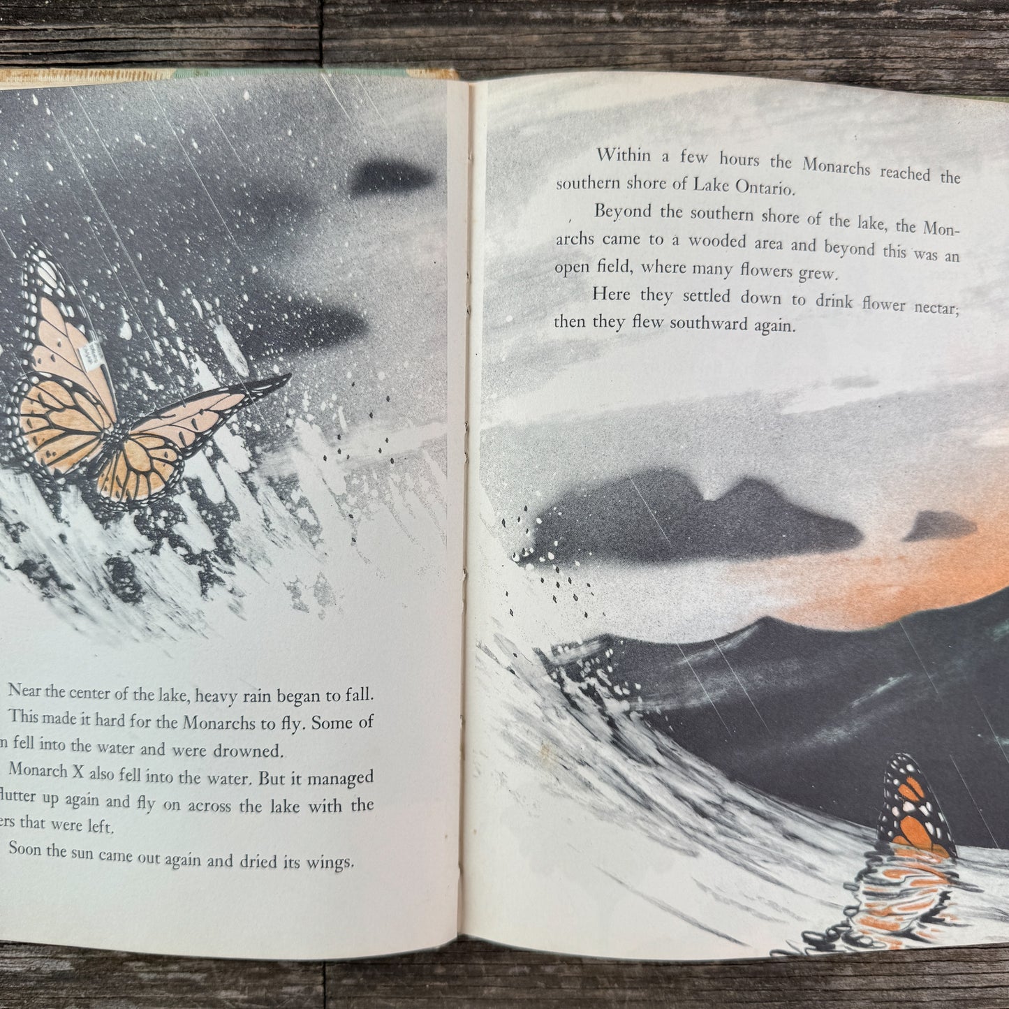The Travels of Monarch X, 1966 Nature Study Hardcover Children's Book