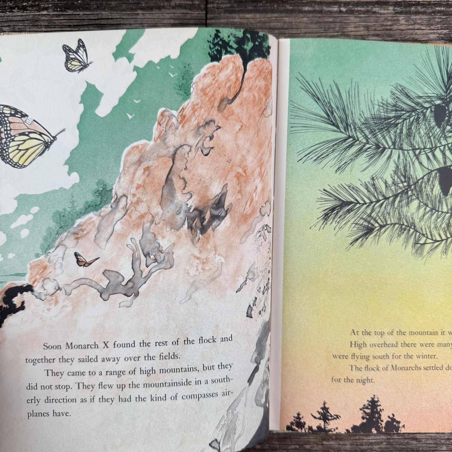 The Travels of Monarch X, 1966 Nature Study Hardcover Children's Book