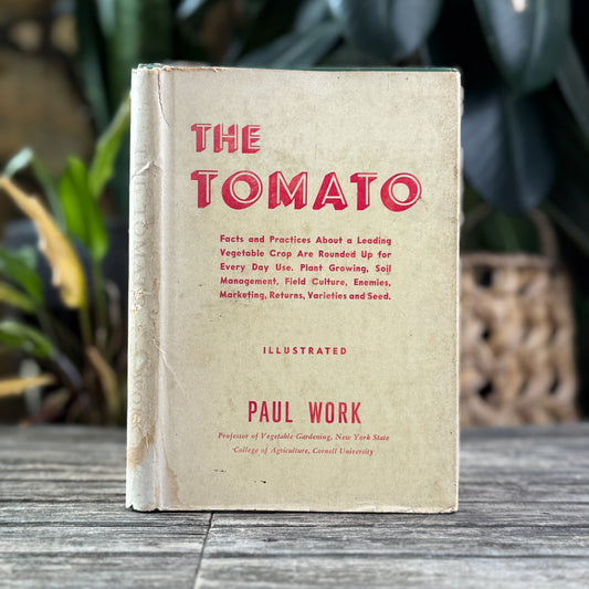 The Tomato, Paul Work, 1949