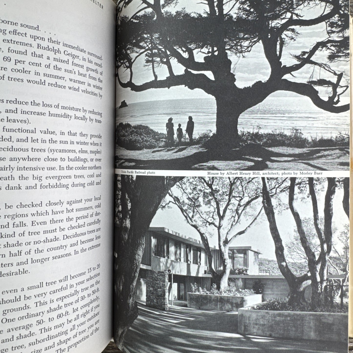 The Art of Home Landscaping, Mid Century Houses, Garrett Eckbo, 1956