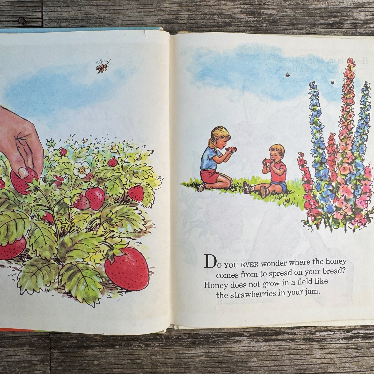 The Honeybee, Karin Clafford Farley, 1972