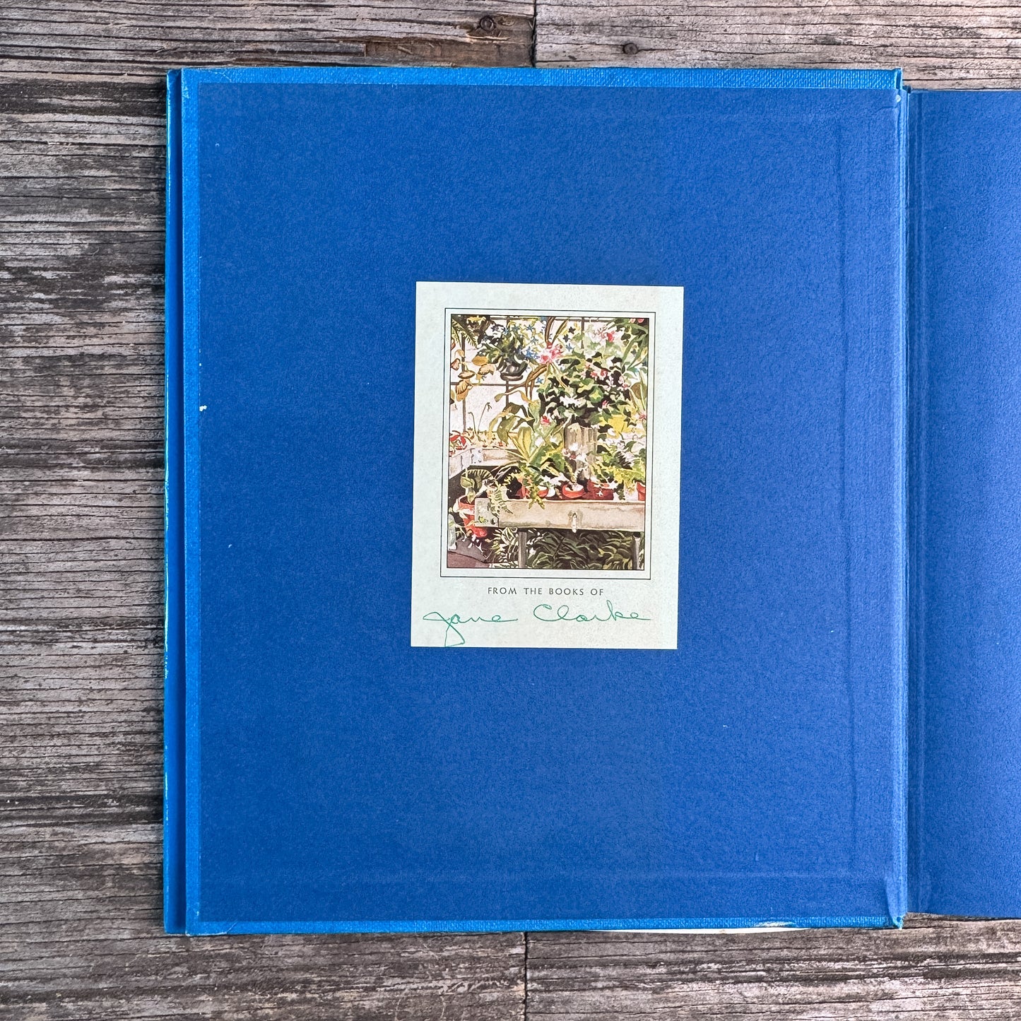 Roses, Peter Coats, 1973 Illustrated Octopus Edition