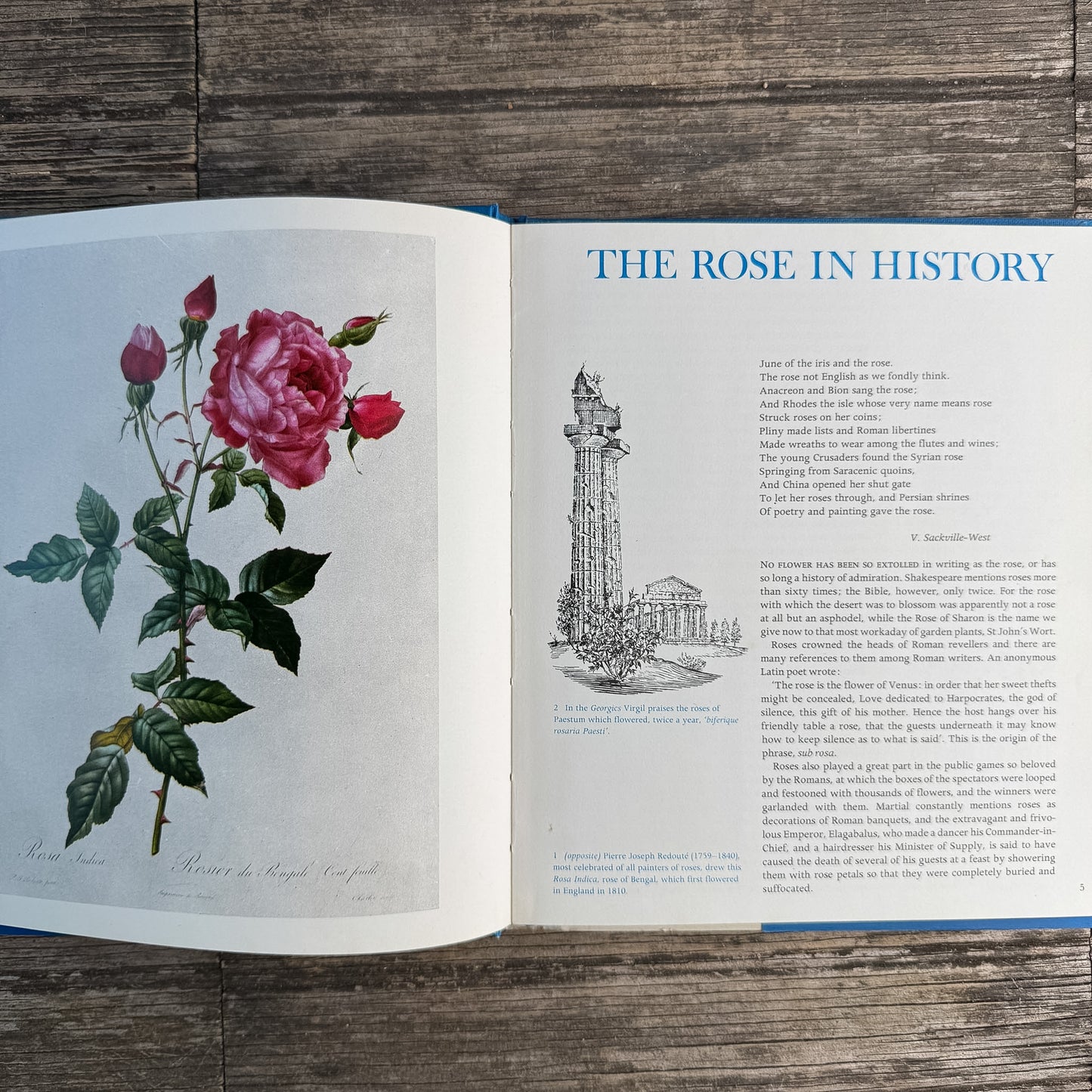 Roses, Peter Coats, 1973 Illustrated Octopus Edition