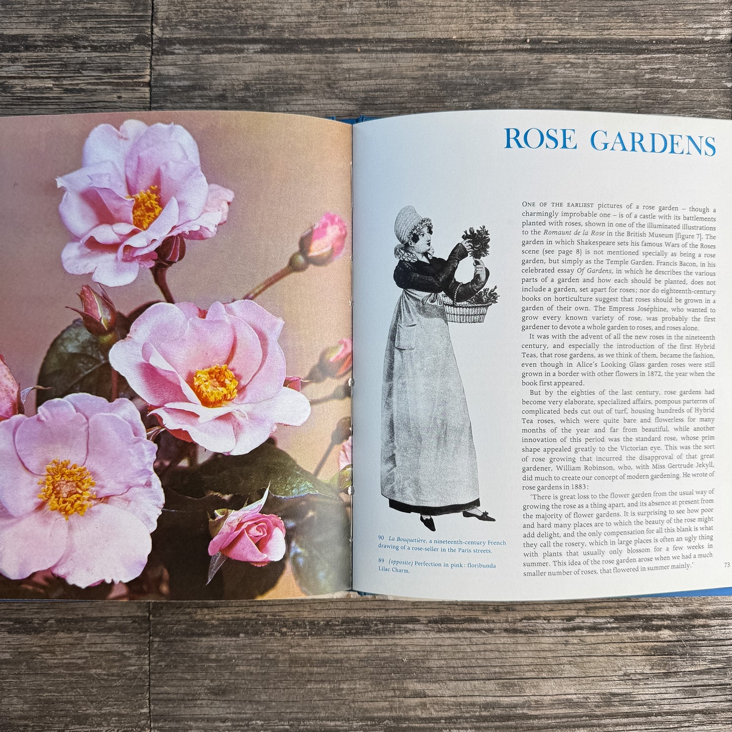 Roses, Peter Coats, 1973 Illustrated Octopus Edition