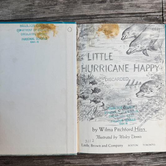 Little Hurricane Happy, Wilma Pitchford Hays, 1965