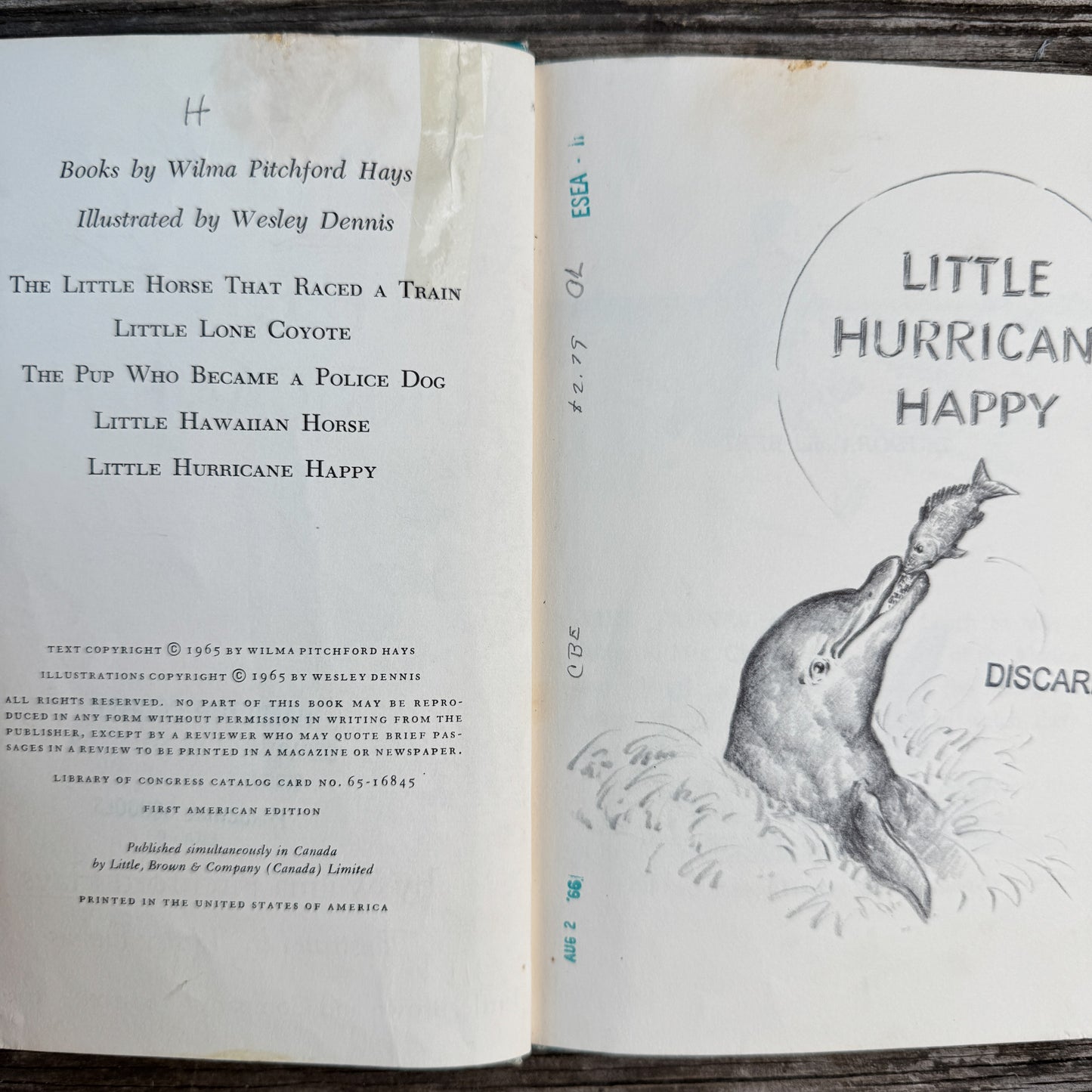 Little Hurricane Happy, Wilma Pitchford Hays, 1965