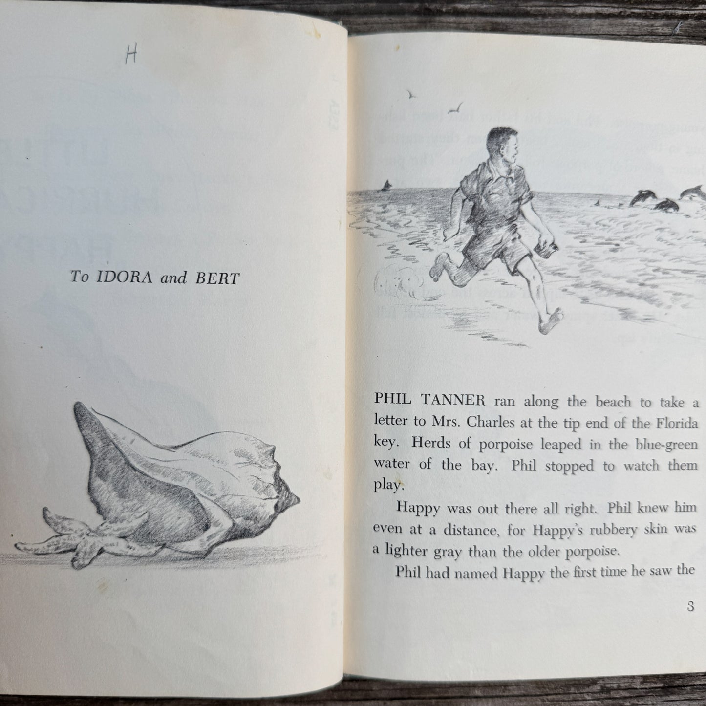 Little Hurricane Happy, Wilma Pitchford Hays, 1965