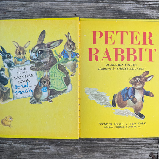Peter Rabbit, 1976 Wonder Book
