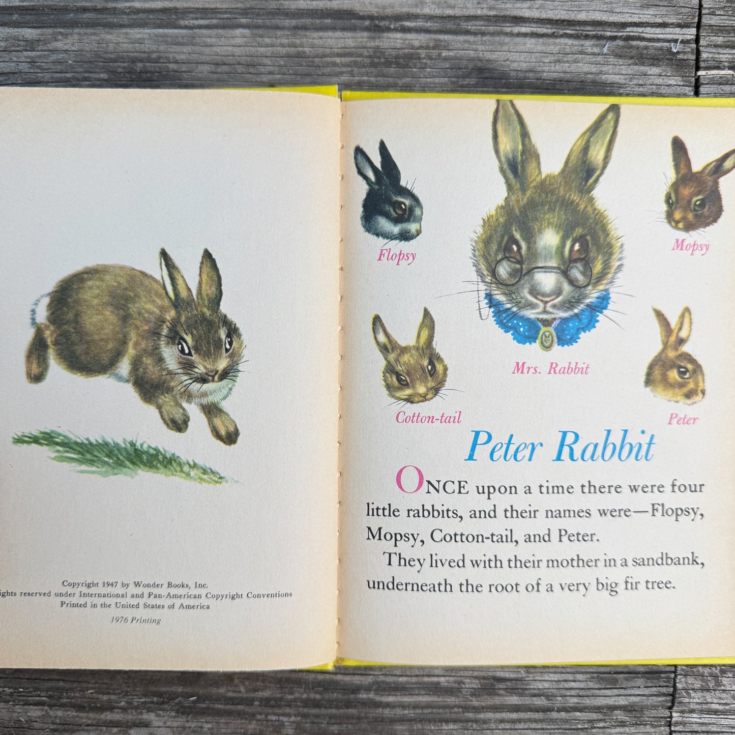 Peter Rabbit, 1976 Wonder Book
