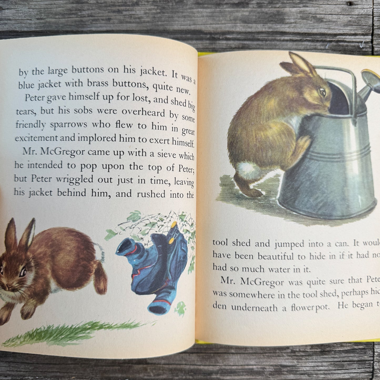Peter Rabbit, 1976 Wonder Book