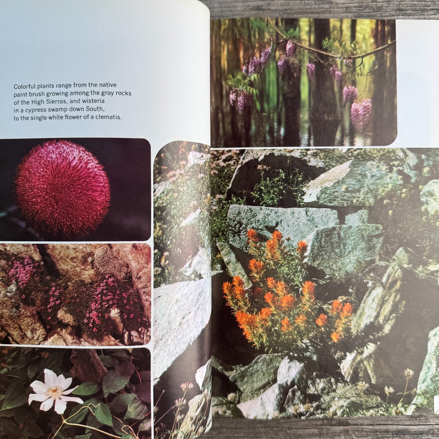 Landscape for Living, The Yearbook of Agriculture, USDA, 1972
