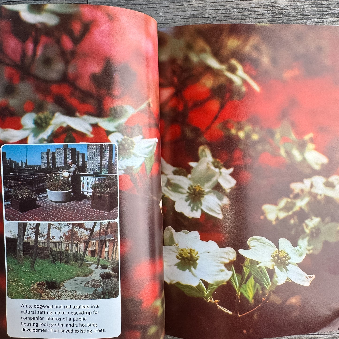 Landscape for Living, The Yearbook of Agriculture, USDA, 1972