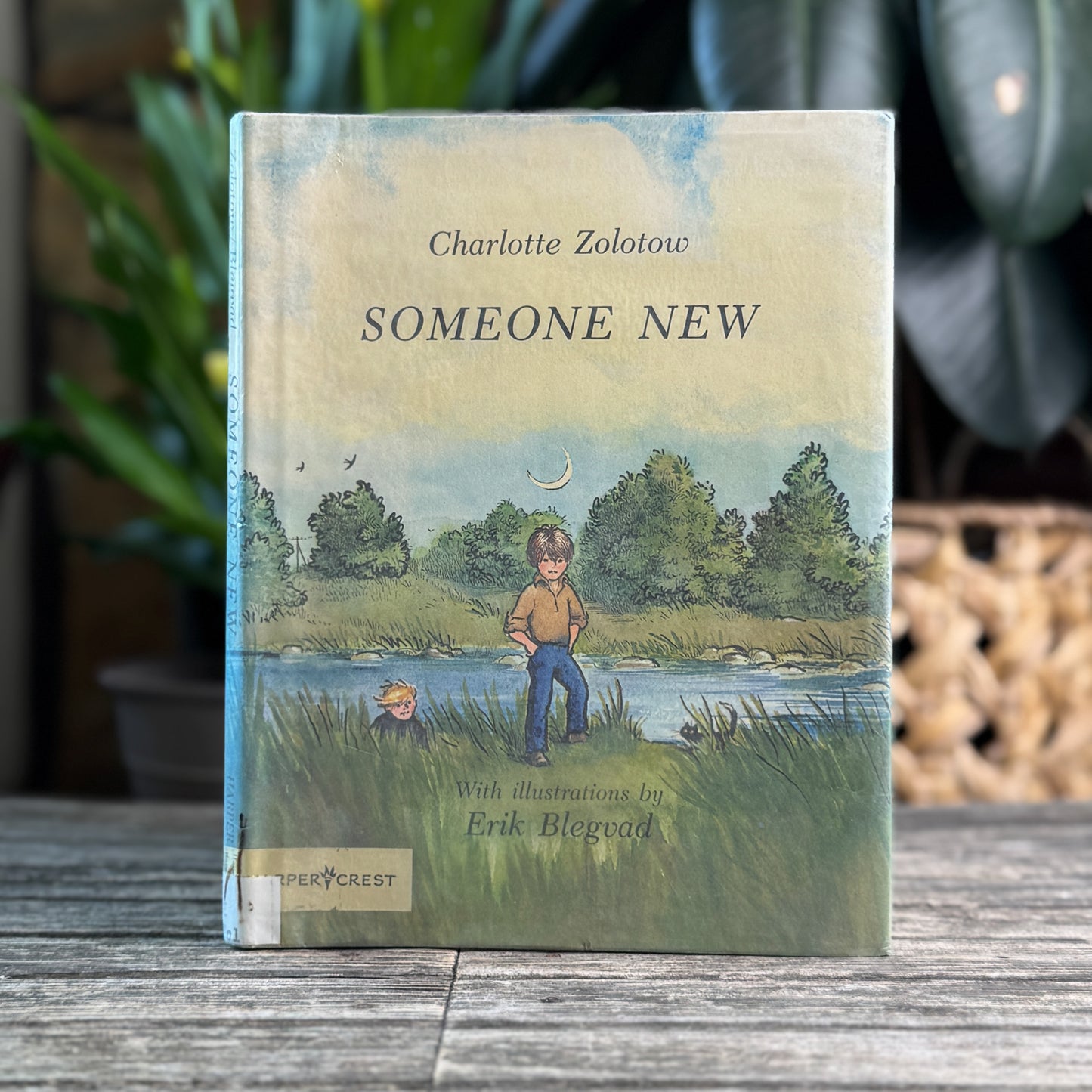Someone New, Charlotte Zolotow, 1978, First Edition