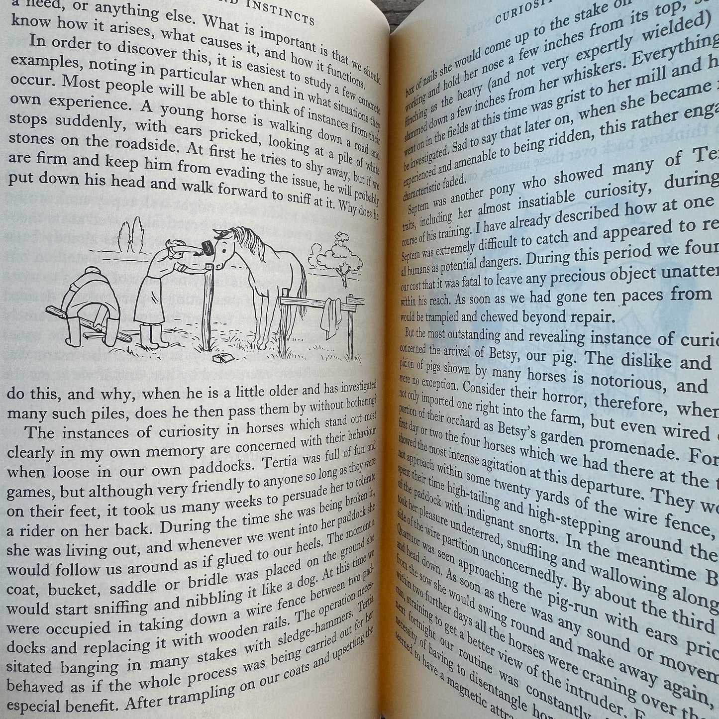 Horse Psychology, Moyra Williams, 1969, Fifth Printing