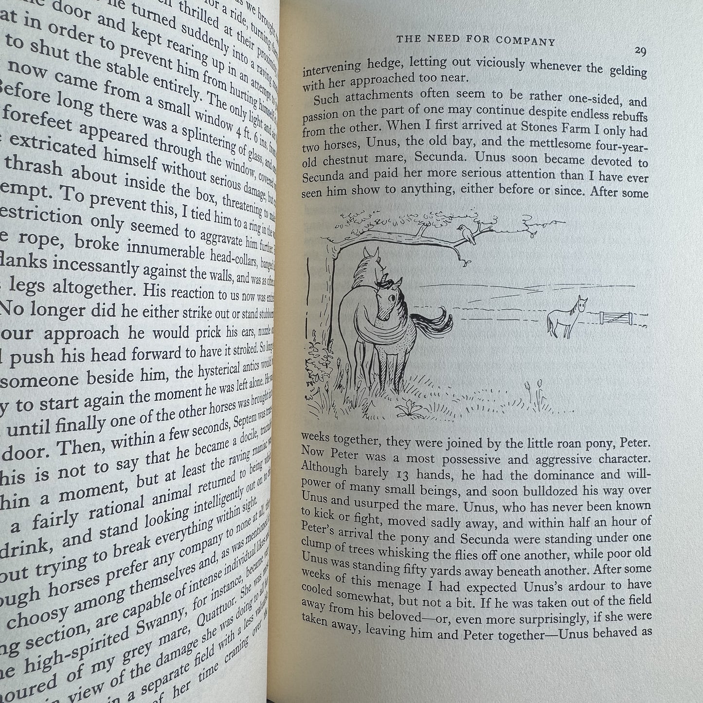 Horse Psychology, Moyra Williams, 1969, Fifth Printing