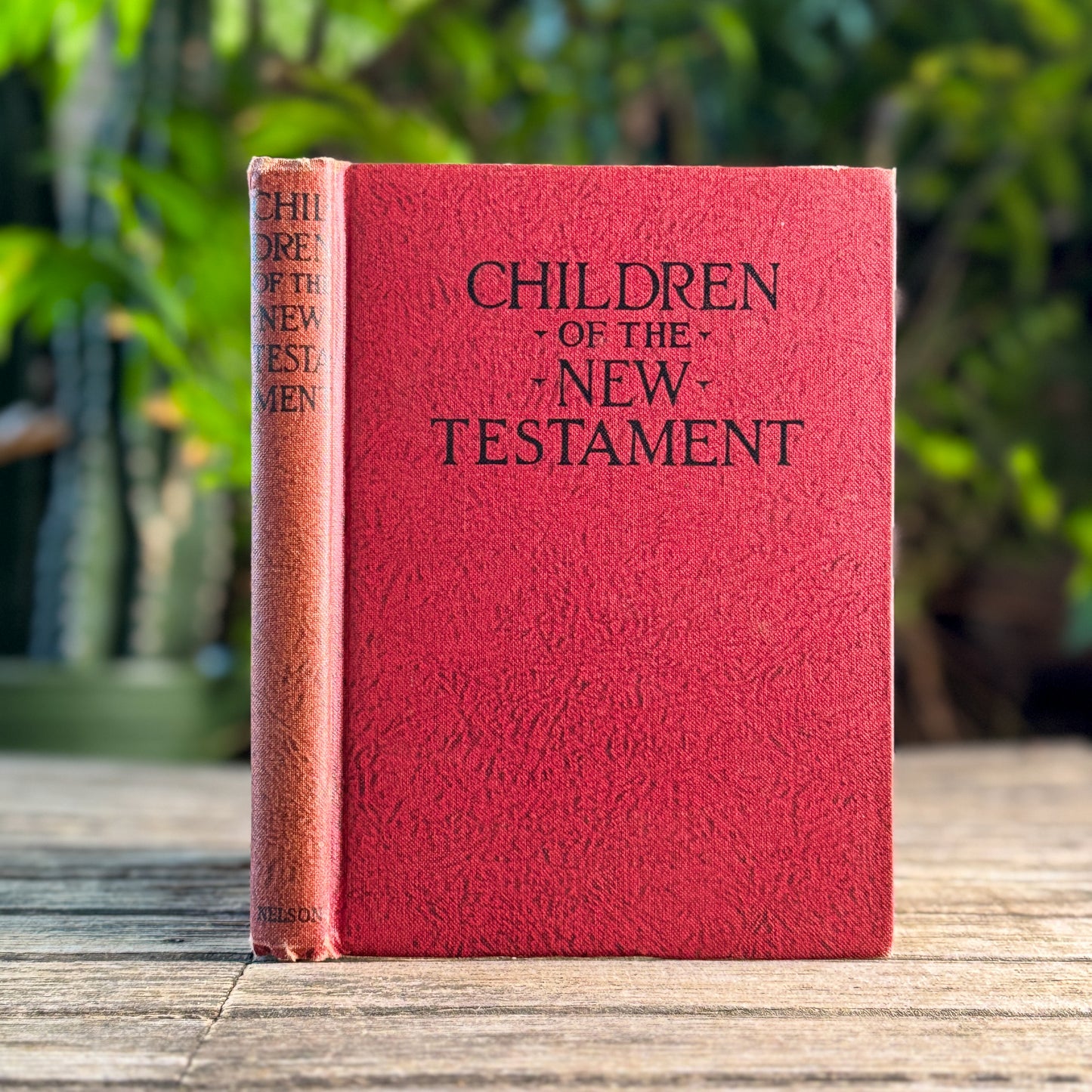 Children of the New Testament, Thomas Nelson and Sons