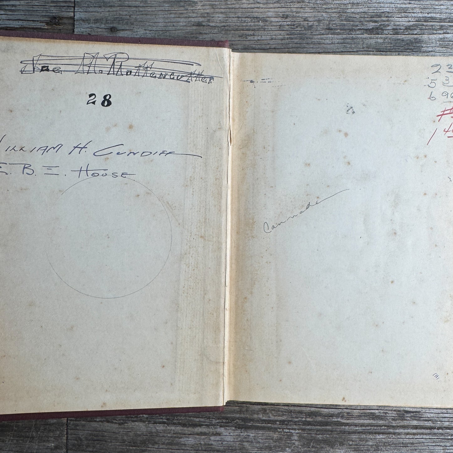 Webster's Secondary-School Dictionary, 1925