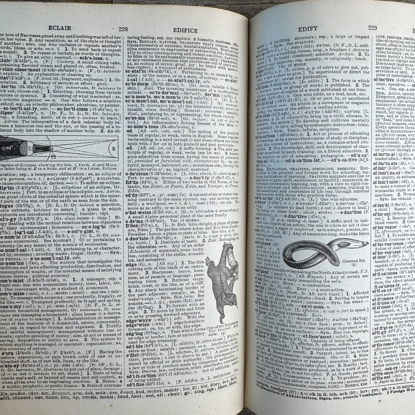 Webster's Secondary-School Dictionary, 1925