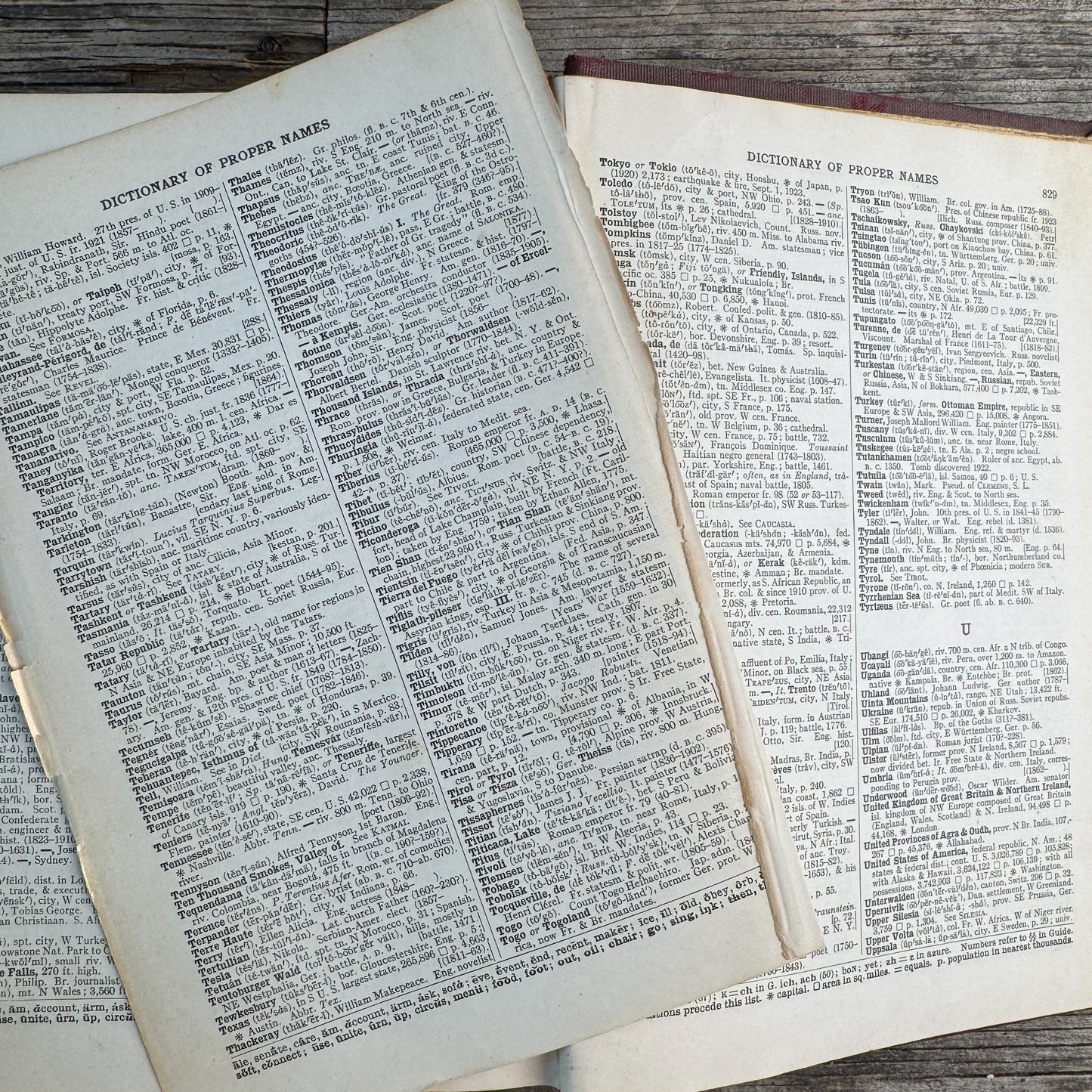 Webster's Secondary-School Dictionary, 1925